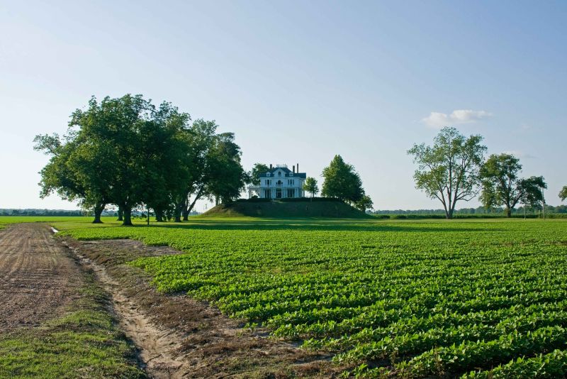 delta home.jpg